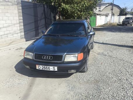 Audi 100, 1993 — сүрөт 1