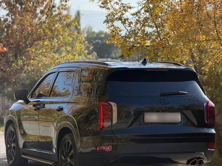 Hyundai Palisade, 2019 — 照片 3