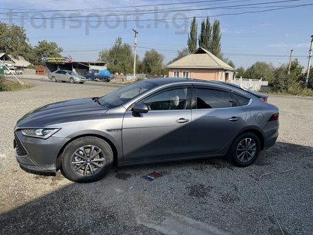 BYD Qin Pro, 2024 — photo 4