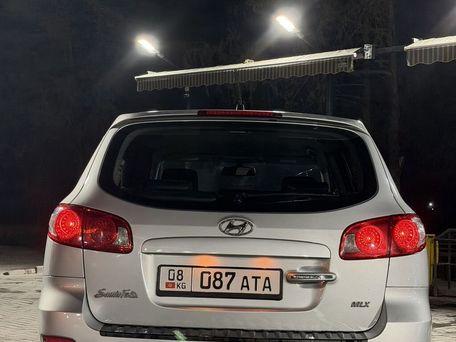 Hyundai Santa Fe, 2009 — photo 4