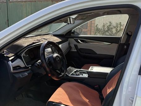 Weltmeister EX5, 2020 — photo 7