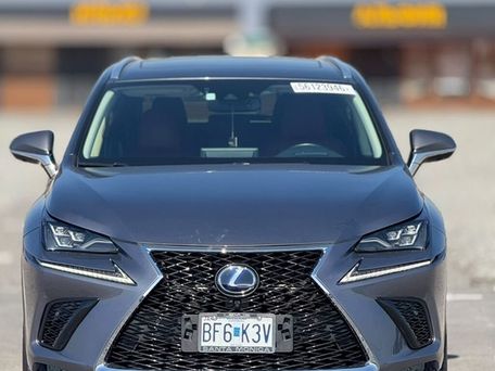 Lexus NX, 2019 — фото 1