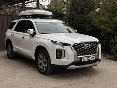 Hyundai Palisade, 2020 — 照片 1