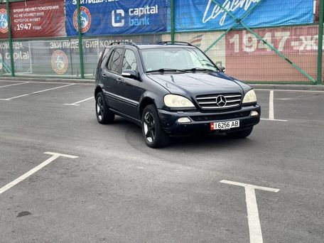 Mercedes-Benz M-Класс, 2003 — фото 4