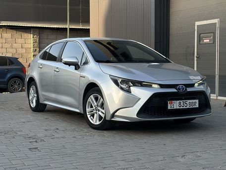 Toyota Levin, 2019