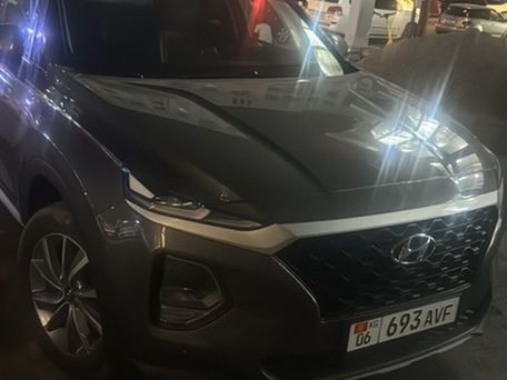 Hyundai Santa Fe, 2019 — фото 2