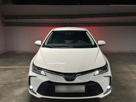 Toyota Corolla, 2020 — фото 1
