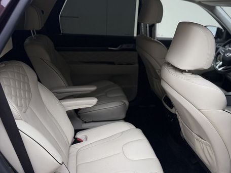Hyundai Palisade, 2020 — photo 14