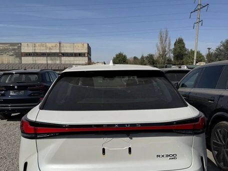 Lexus RX, 2026 — сүрөт 5