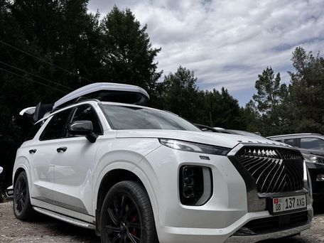 Hyundai Palisade, 2019 — сүрөт 9