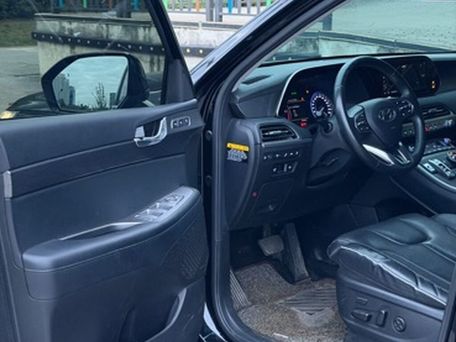 Hyundai Palisade, 2020 — 照片 17