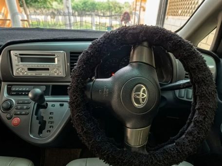 Toyota Wish, 2004 — 照片 4