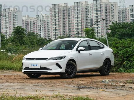BYD Qin Pro, 2025 — фото 1