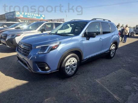 Subaru Forester, 2023 — photo 11