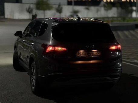 Hyundai Santa Fe, 2022 — сүрөт 7