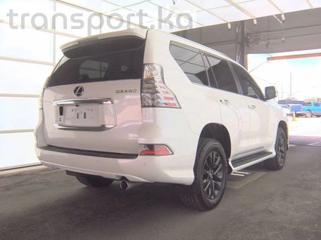 Lexus GX, 2022 — фото 3
