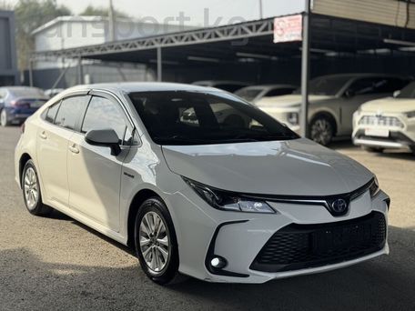 Toyota Corolla, 2023 — photo 1