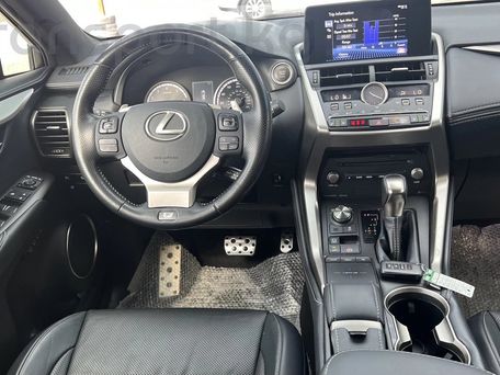 Lexus NX, 2020 — фото 10