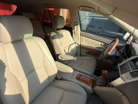 Lexus RX, 2008 — photo 8