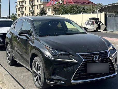 Lexus NX, 2021