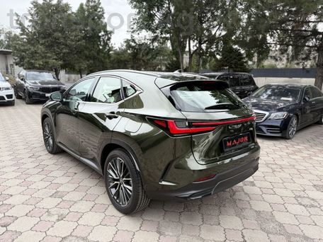 Lexus NX, 2022 — фото 2