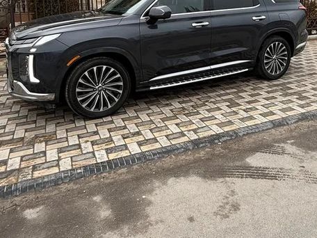 Hyundai Palisade, 2023 — photo 4