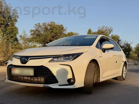 Toyota Corolla, 2020 — 照片 3