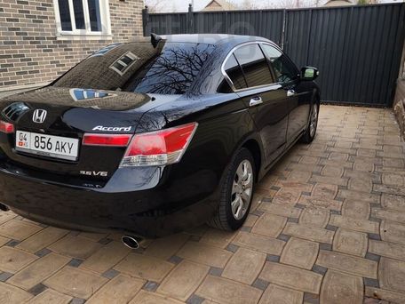 Honda Accord, 2010 — 照片 2