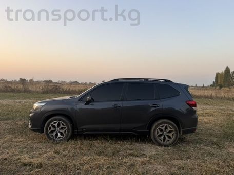 Subaru Forester, 2019 — photo 3