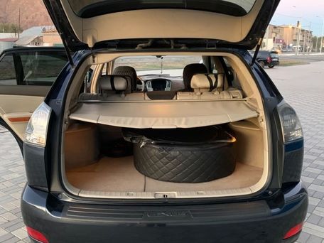Lexus RX, 2003 — 照片 12