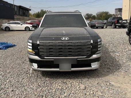 Hyundai Palisade, 2024