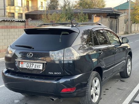 Lexus RX, 2003 — 照片 4