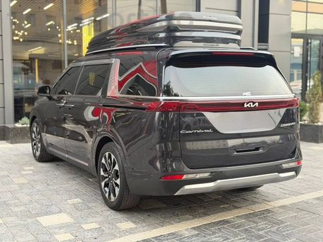 Kia Carnival, 2021 — фото 3