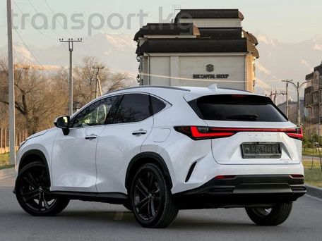 Lexus NX, 2023 — сүрөт 2