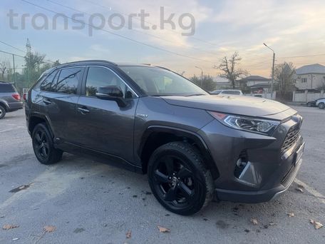 Toyota RAV4, 2020 — 照片 3