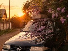 SsangYong Musso