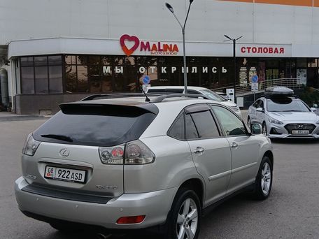 Lexus RX, 2007 — 照片 4