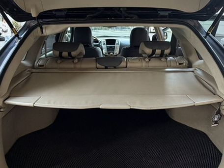 Lexus RX, 2009 — photo 11