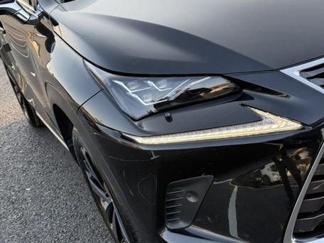 Lexus NX, 2019 — 照片 14