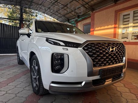 Hyundai Palisade, 2020 — photo 1