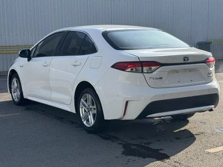 Toyota Levin, 2023 — сүрөт 4