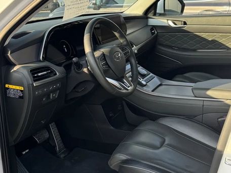 Hyundai Palisade, 2020 — photo 6
