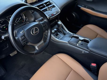 Lexus NX, 2019 — photo 10