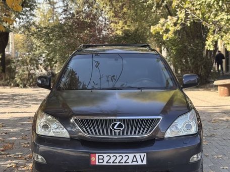 Lexus RX, 2003 — сүрөт 2