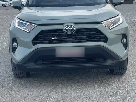Toyota RAV4, 2018