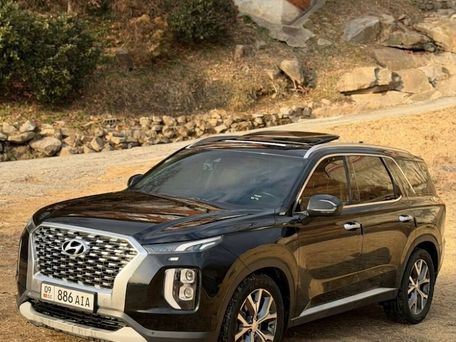 Hyundai Palisade, 2020