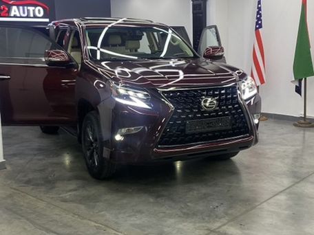 Lexus GX, 2021 — photo 9