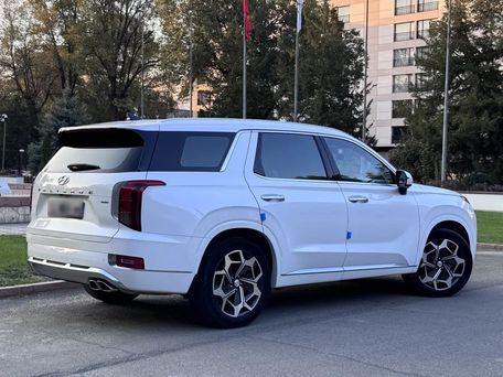 Hyundai Palisade, 2020 — 照片 2