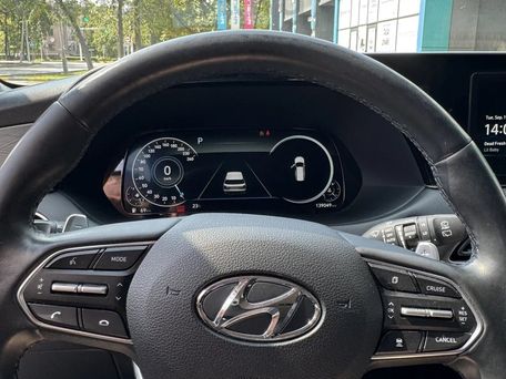 Hyundai Palisade, 2020 — photo 10