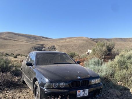 BMW 5 серии, 2002 — сүрөт 4